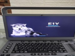 Top máy siêu âm thú y tốt nhất trên thị trường hiện nay 