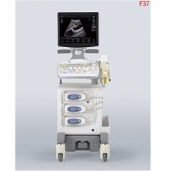Máy siêu âm 4D HITACHI ALOKA F37