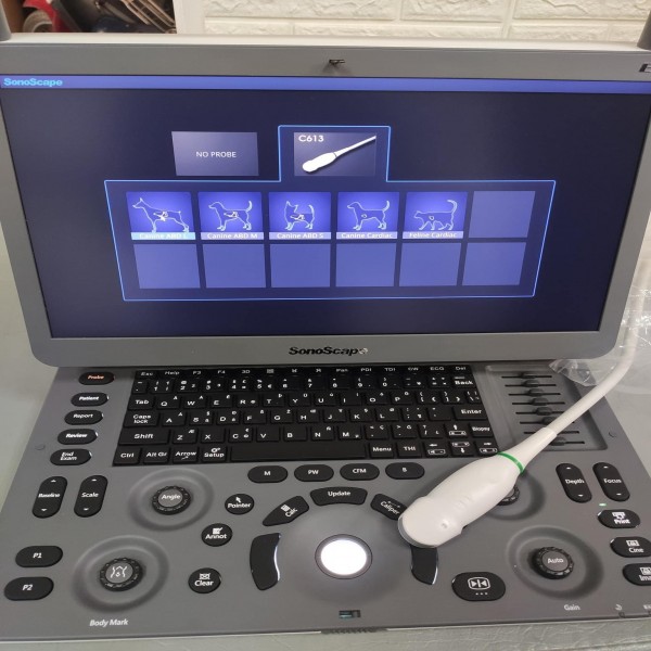 Máy siêu âm thú y Sonoscape E1Vet xách tay giá rẻ